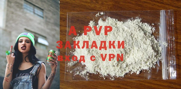 PSILOCYBIN Богородицк