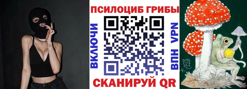 Псилоцибиновые грибы MAGIC MUSHROOMS  Ядрин 